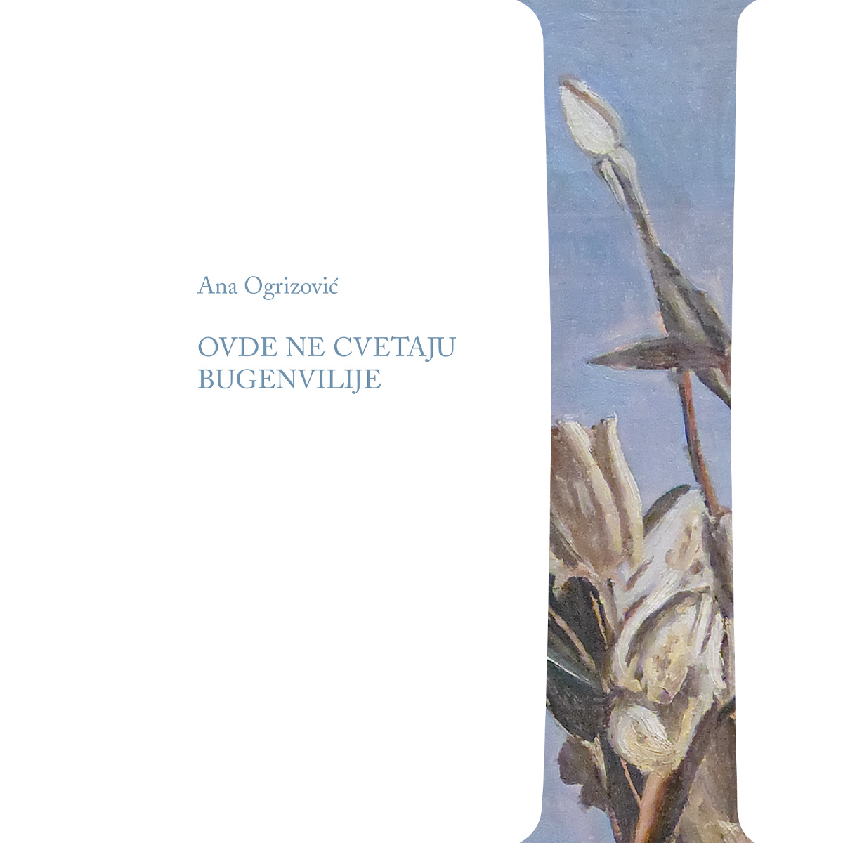 ovdenecvetajubugenvilije
